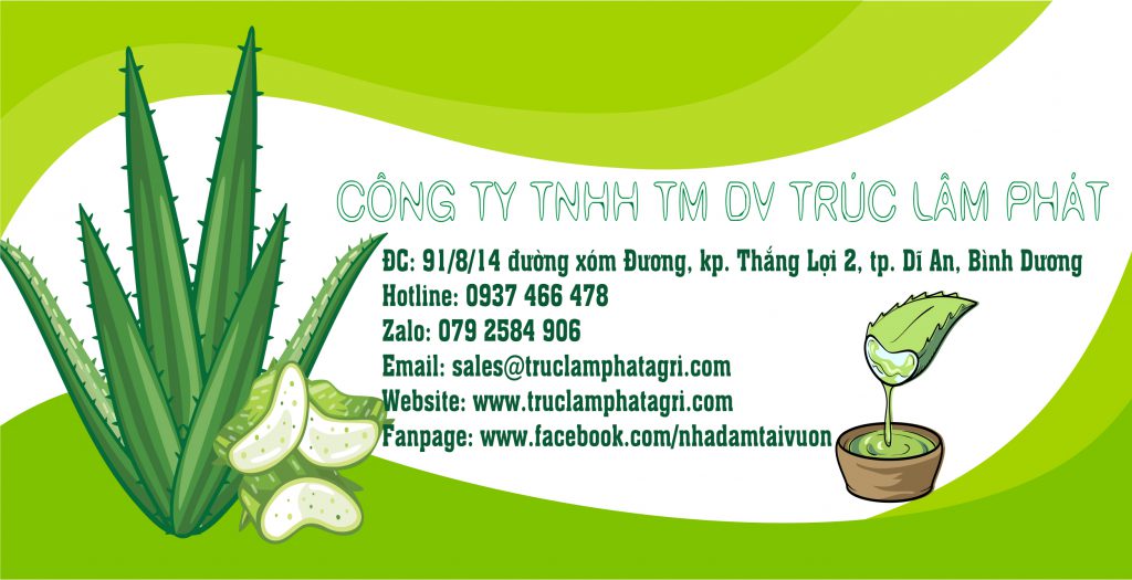 Thong-tin-cong-ty-tnhh-tm-dv-Truc-Lam-Phat