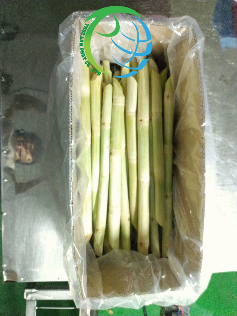 Packing-sugarcane