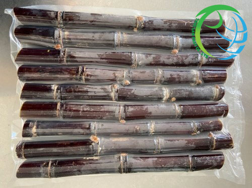 Black-sugarcane-for-exporting