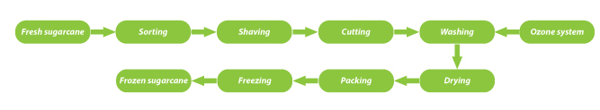 Process-of-frozen-sugarcane-production