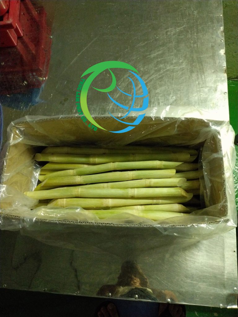 Sugarcane-is-packed-by-PE-bag