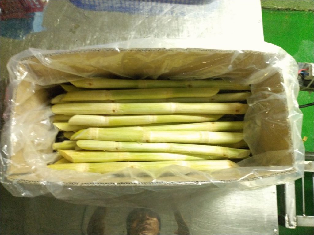 Truc-Lam-Phat-Co.,Ltd-wholesales-sugarcane-for-exporting